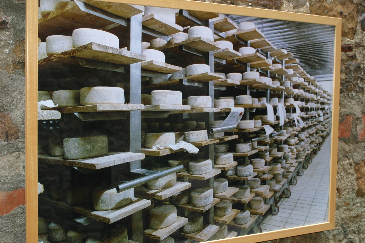 Cheese Manufacturing